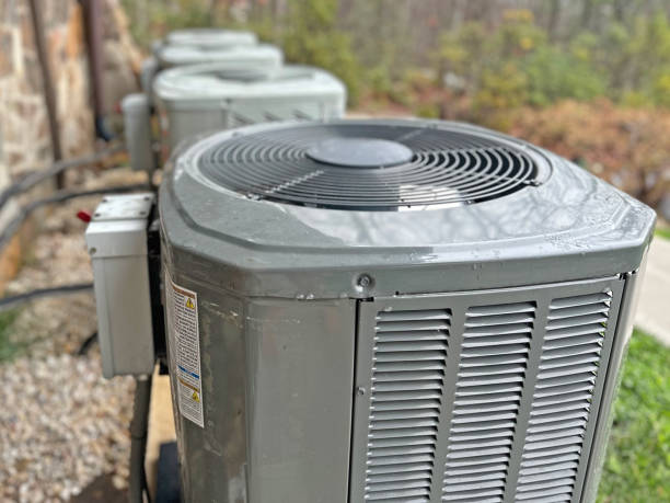Best Local HVAC Companies  in Rogersville, AL